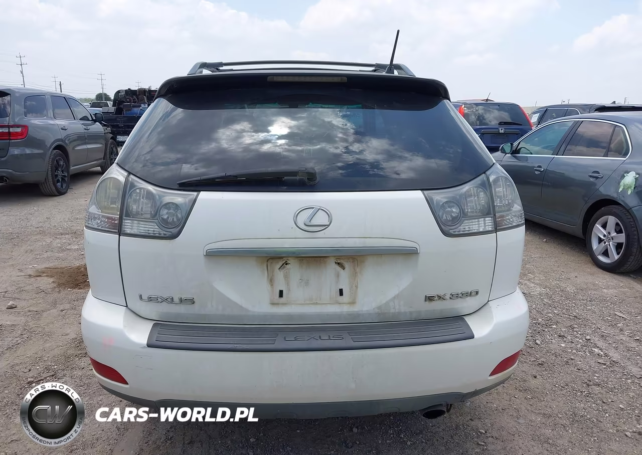 2004 Lexus Rx 330 VIN:JTJGA31U540023923 - 16
