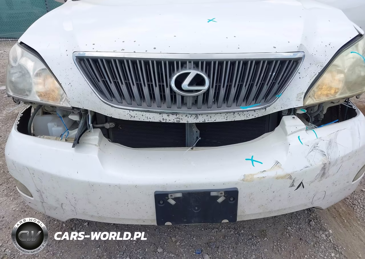 2004 Lexus Rx 330 VIN:JTJGA31U540023923 - 6