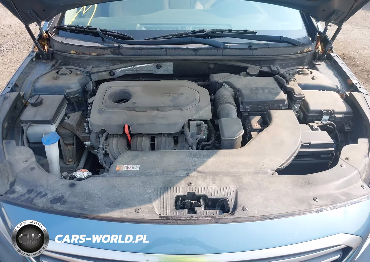 2016 Hyundai Sonata Se VIN:5NPE24AF5GH260904 - 10