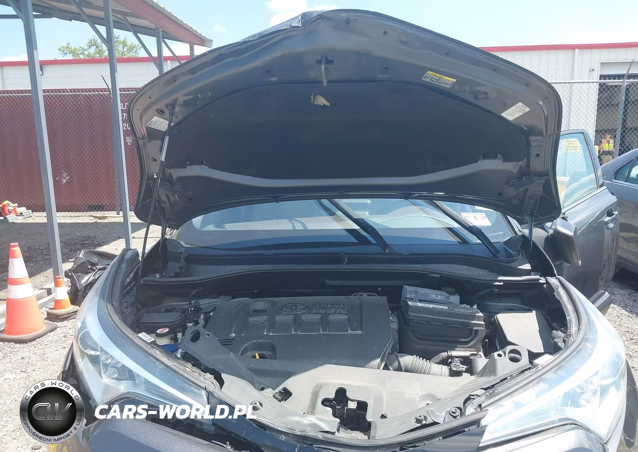 2019 Toyota C-Hr Limited VIN:NMTKHMBX5KR068778 - 10