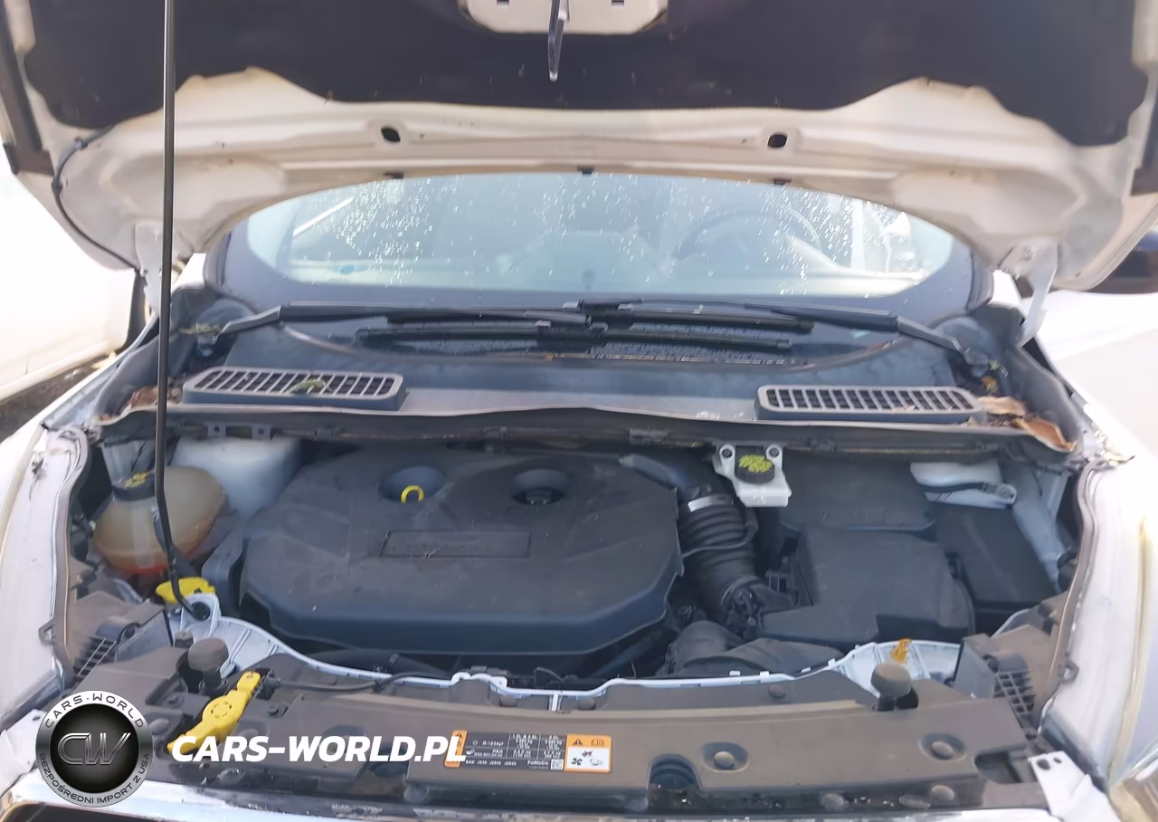 2017 Ford Escape Se VIN:1FMCU0G92HUB95900 - 10