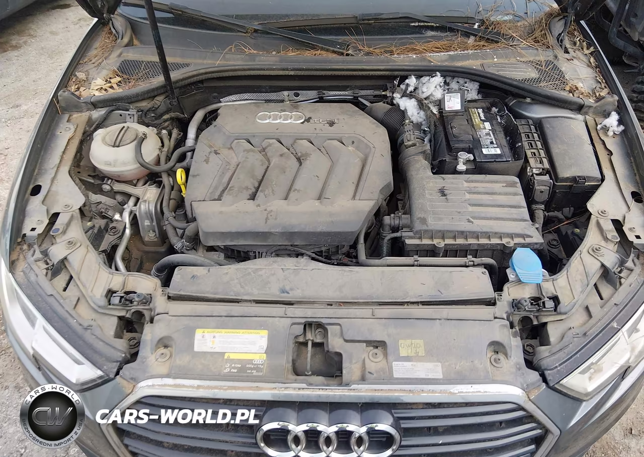 2017 Audi A3 2.0T Premium VIN:WAUAUGFF3H1023403 - 10