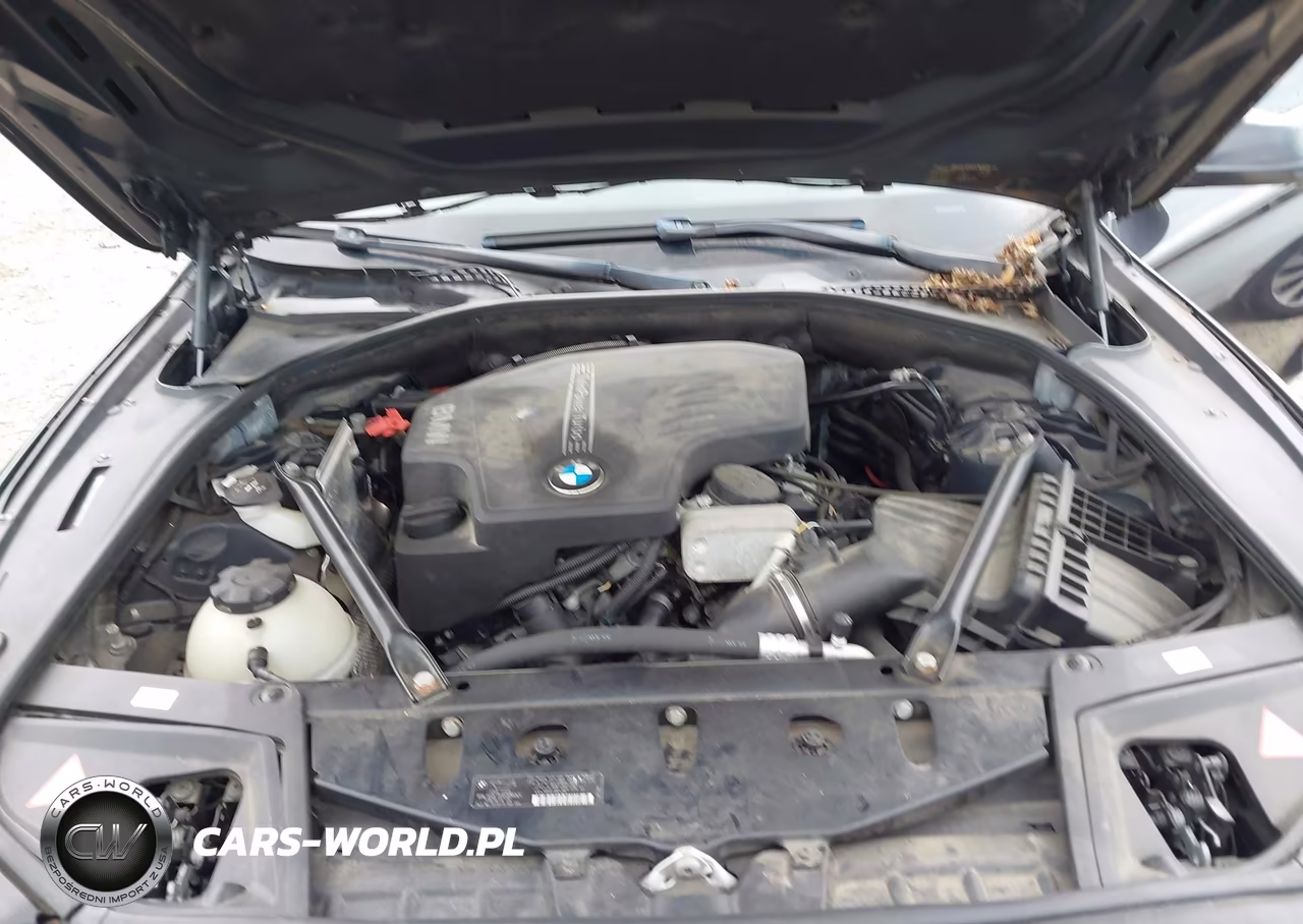 2013 BMW 528I xDrive VIN:WBAXH5C57DDW14129 - 10