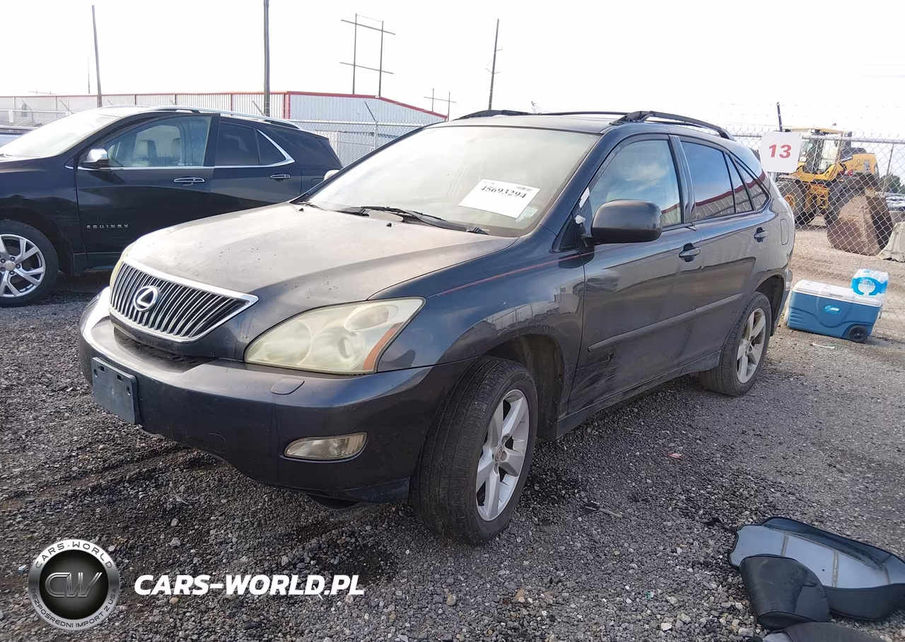 2004 Lexus Rx 330 VIN:JTJGA31U240009834 - 2