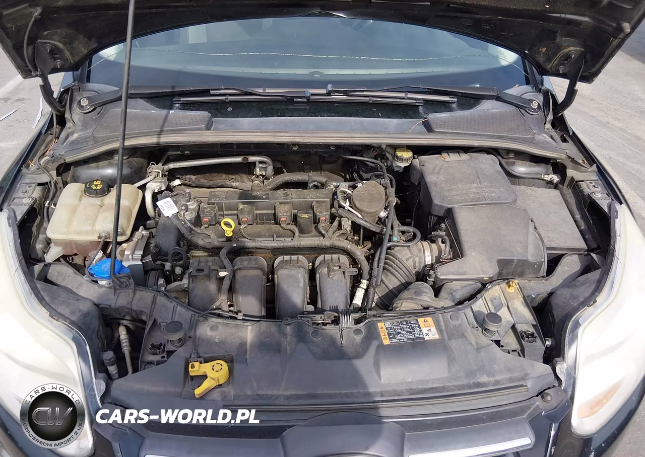 2014 Ford Focus Se VIN:1FADP3F22EL435976 - 10