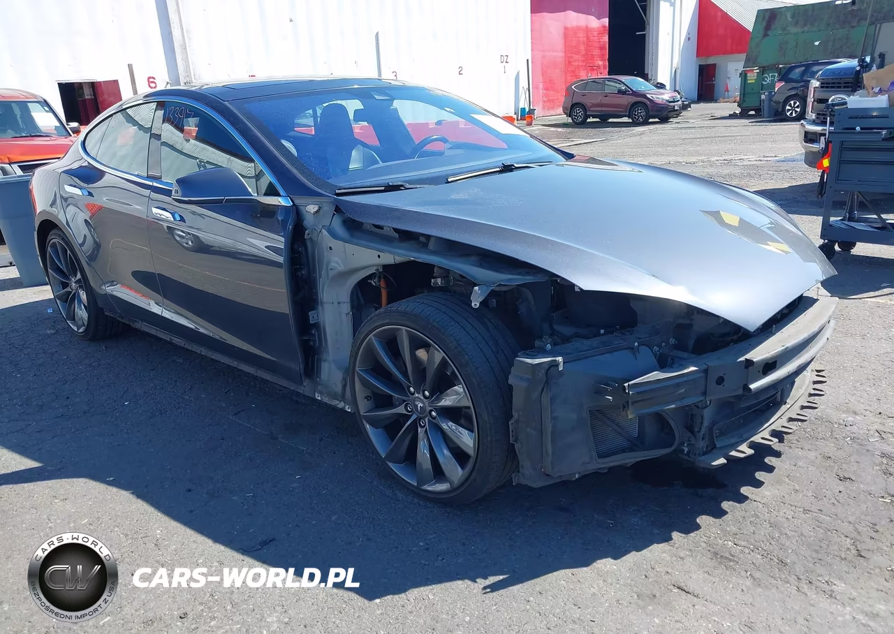 2016 Tesla Model S 60D-70D-75D-85D-90D VIN:5YJSA1E21GF133917 - 1