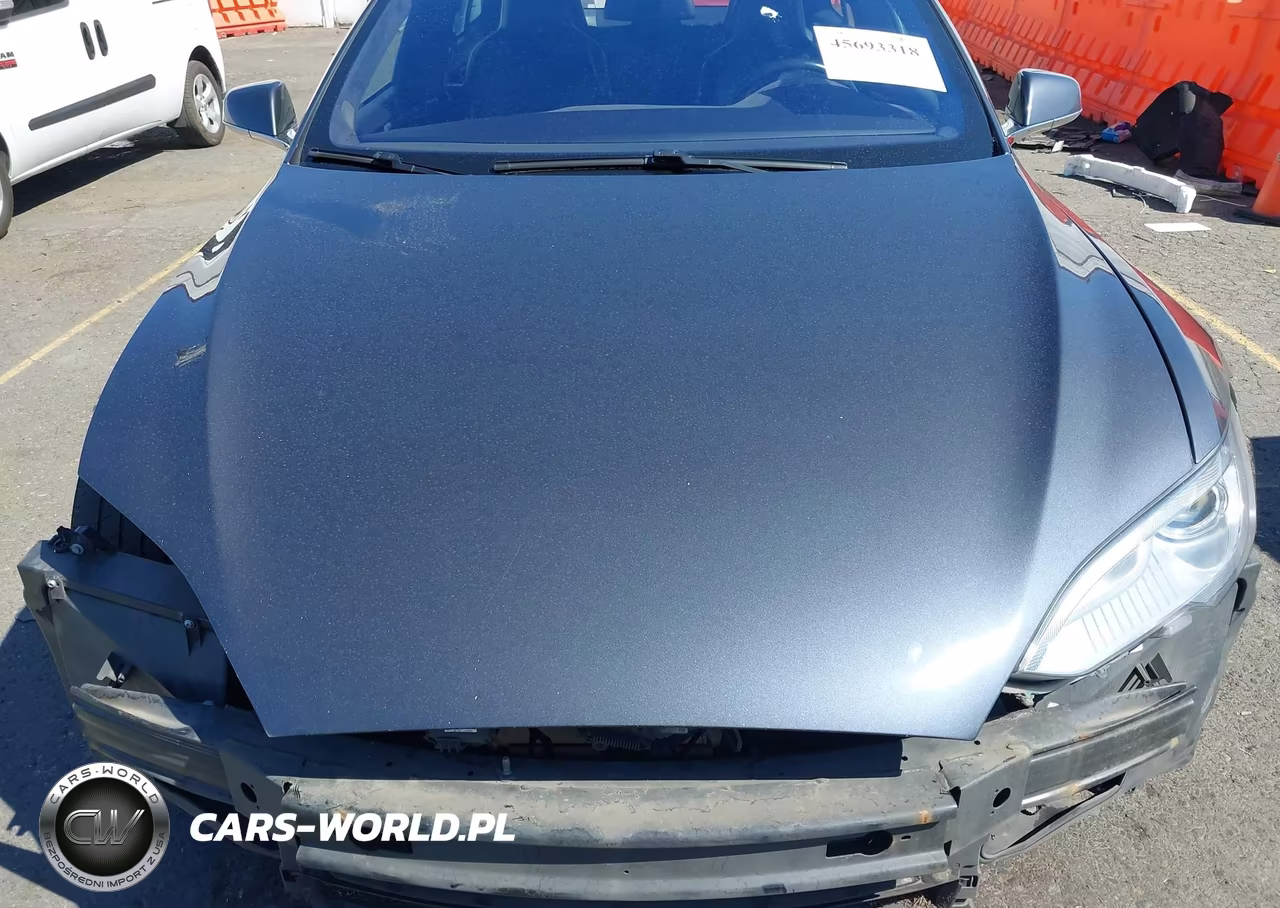 2016 Tesla Model S 60D-70D-75D-85D-90D VIN:5YJSA1E21GF133917 - 10