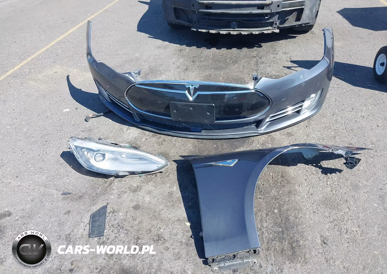 2016 Tesla Model S 60D-70D-75D-85D-90D VIN:5YJSA1E21GF133917 - 12