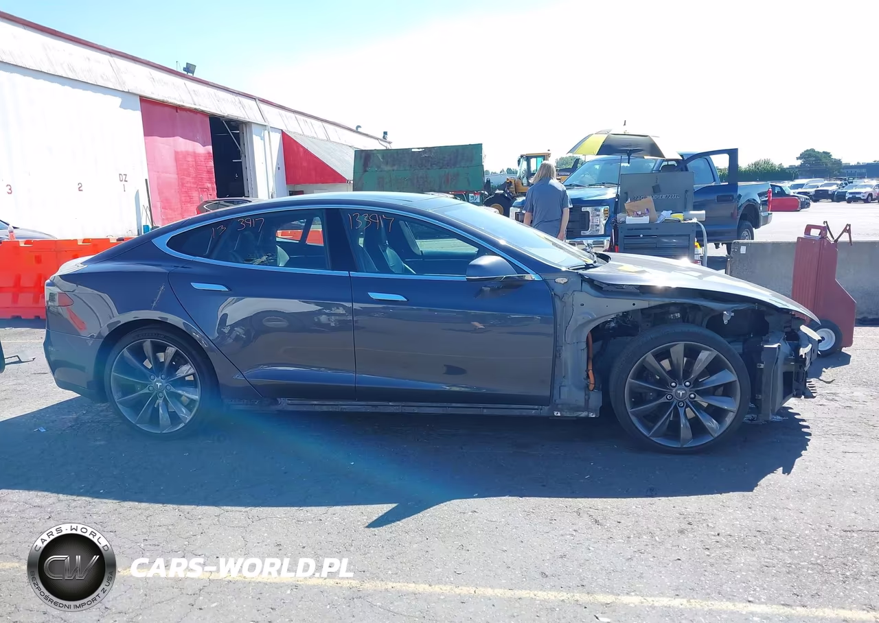 2016 Tesla Model S 60D-70D-75D-85D-90D VIN:5YJSA1E21GF133917 - 14