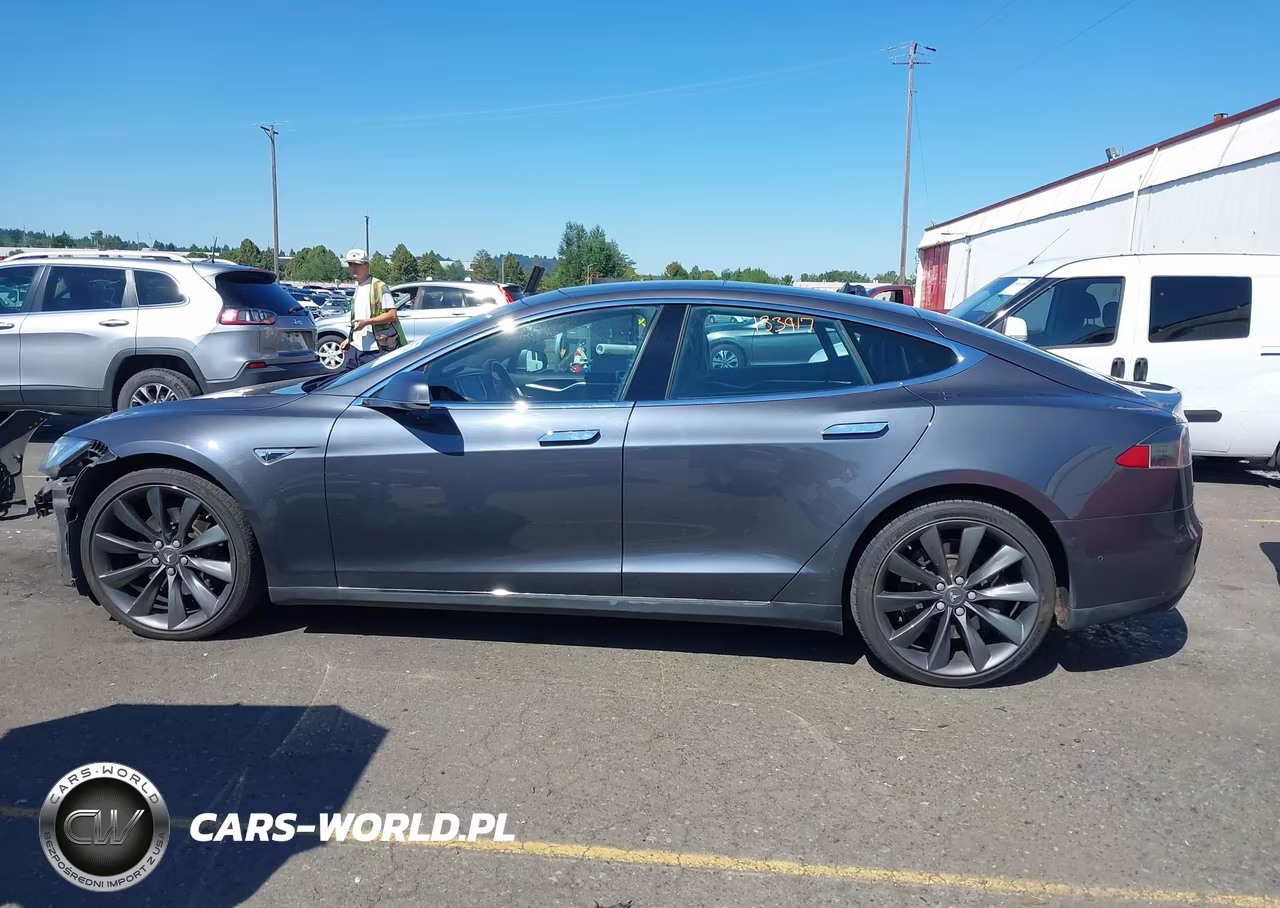 2016 Tesla Model S 60D-70D-75D-85D-90D VIN:5YJSA1E21GF133917 - 15