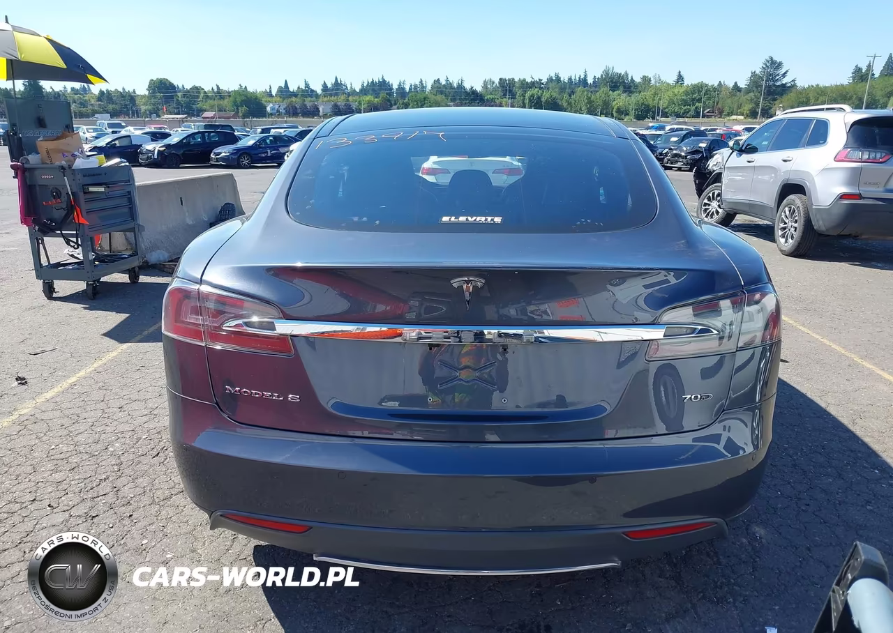 2016 Tesla Model S 60D-70D-75D-85D-90D VIN:5YJSA1E21GF133917 - 17