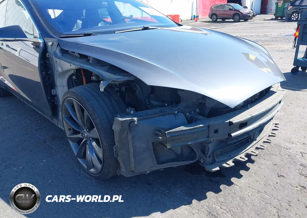 2016 Tesla Model S 60D-70D-75D-85D-90D VIN:5YJSA1E21GF133917 - 6