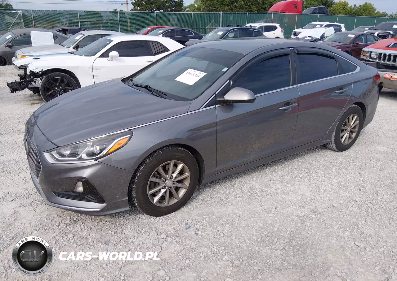 2018 Hyundai Sonata Eco VIN:5NPE24AA5JH702611 - 2