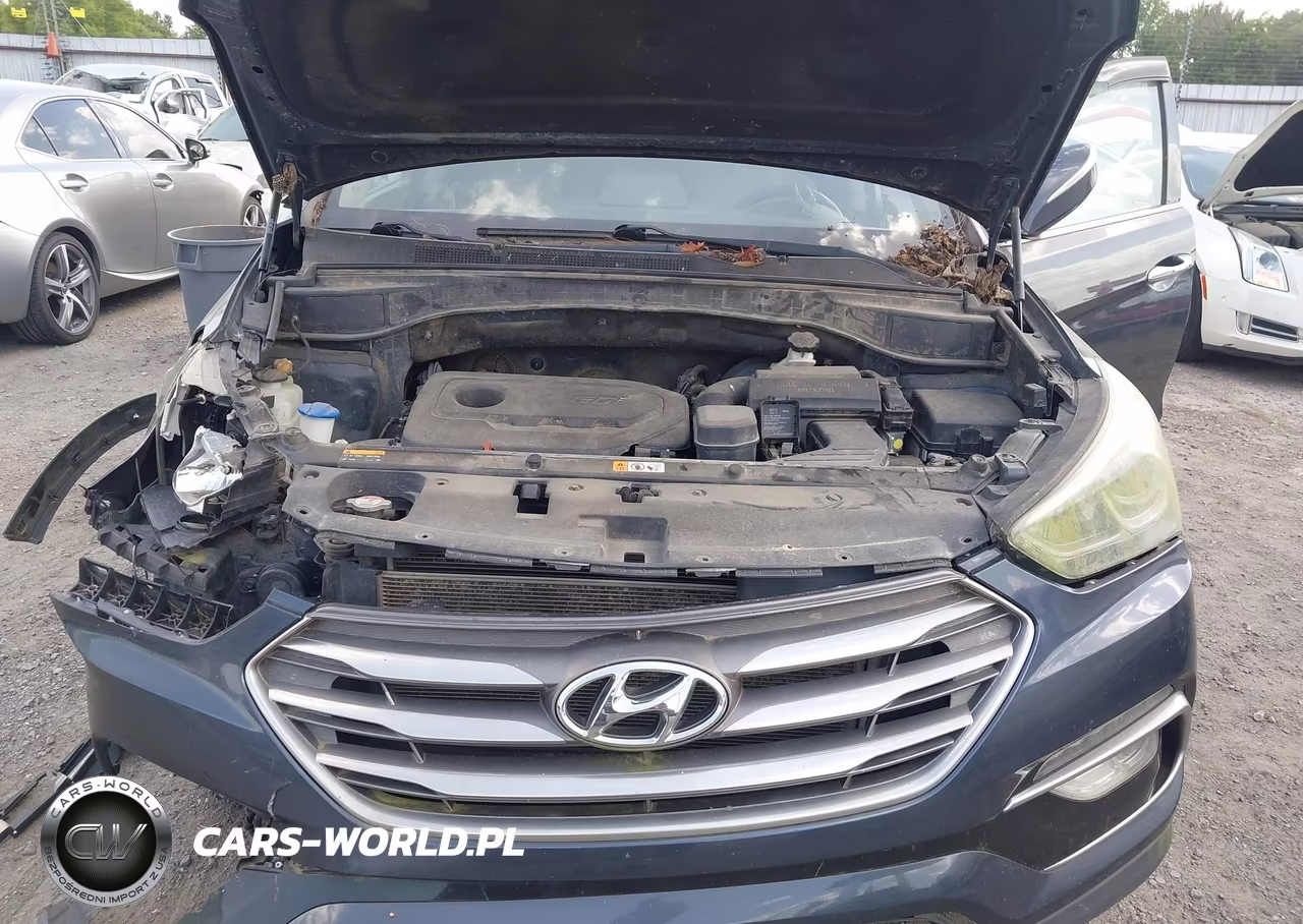 2017 Hyundai Santa Fe Sport 2.4L VIN:5NMZU3LB0HH027978 - 10