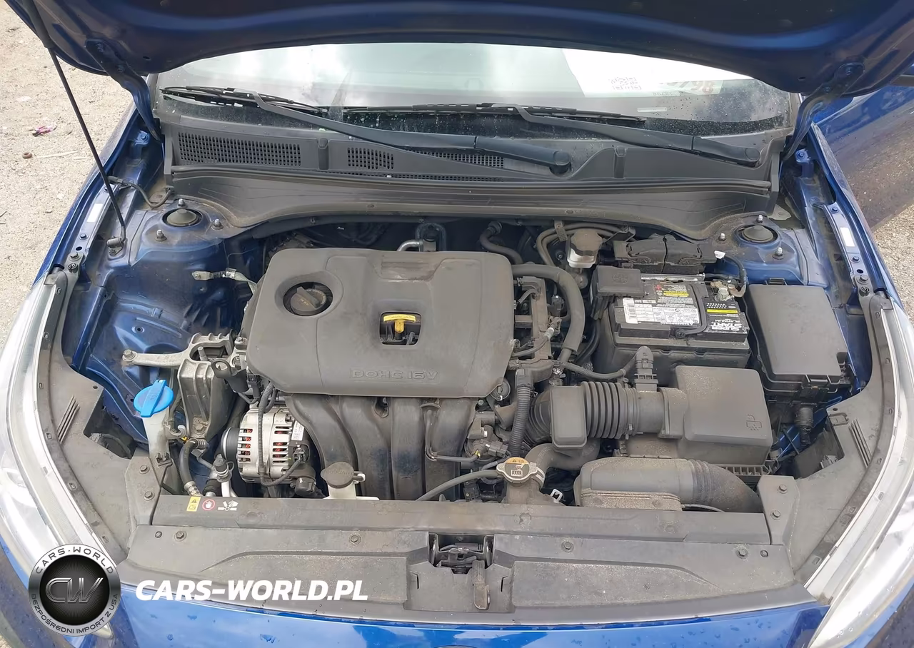 2020 Kia Forte Lxs VIN:3KPF24AD0LE213023 - 10