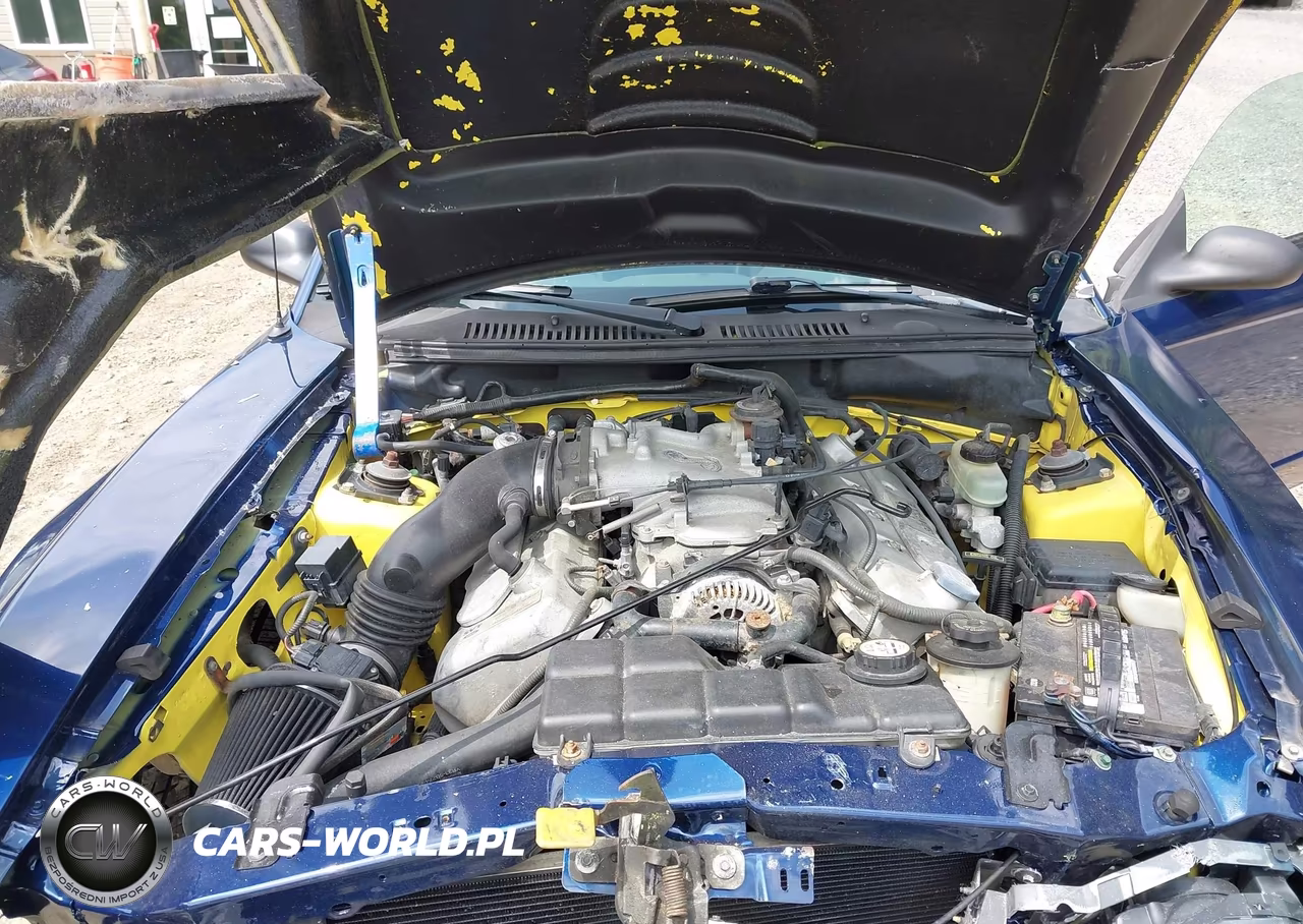 2001 Ford Mustang Cobra Svt VIN:1FAFP47V01F231869 - 10