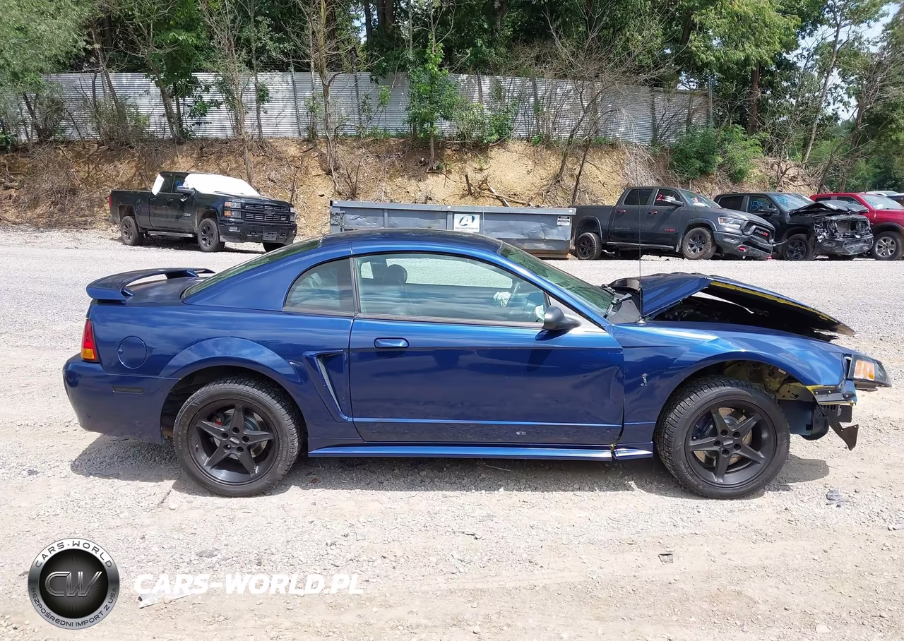 2001 Ford Mustang Cobra Svt VIN:1FAFP47V01F231869 - 13