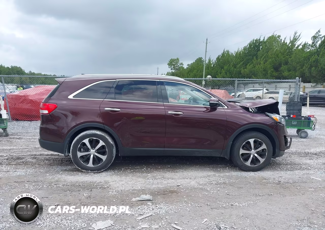 2016 Kia Sorento 3.3L Ex VIN:5XYPH4A55GG160257 - 13