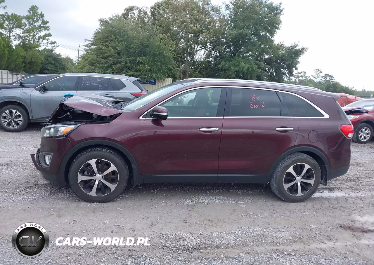 2016 Kia Sorento 3.3L Ex VIN:5XYPH4A55GG160257 - 14