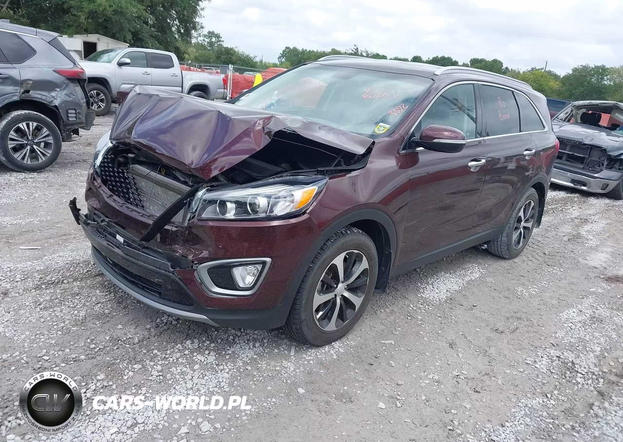 2016 Kia Sorento 3.3L Ex VIN:5XYPH4A55GG160257 - 2