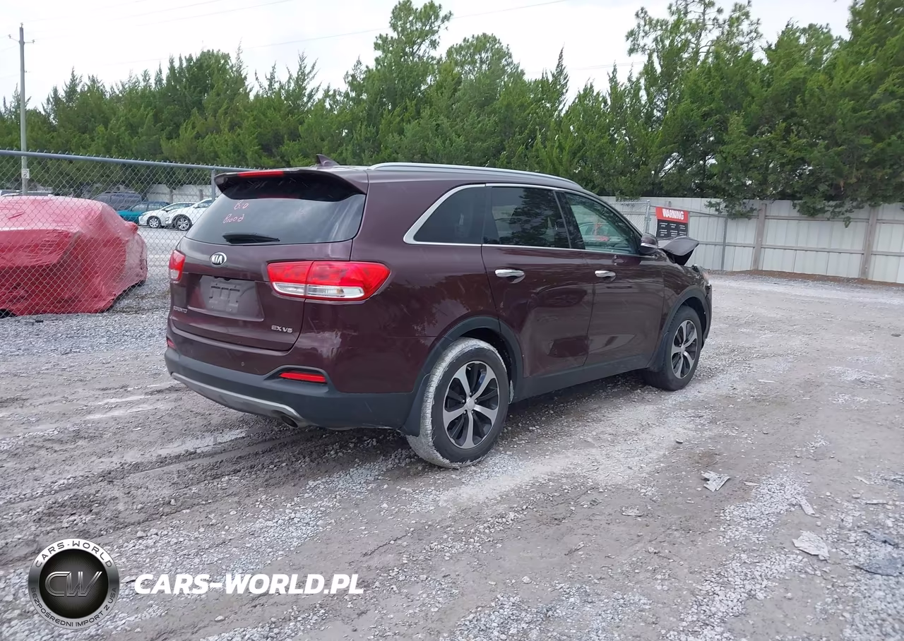 2016 Kia Sorento 3.3L Ex VIN:5XYPH4A55GG160257 - 4