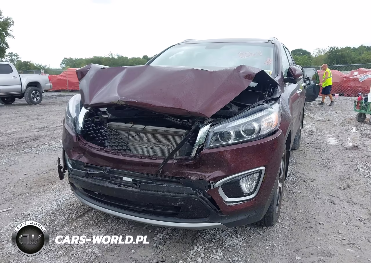 2016 Kia Sorento 3.3L Ex VIN:5XYPH4A55GG160257 - 6