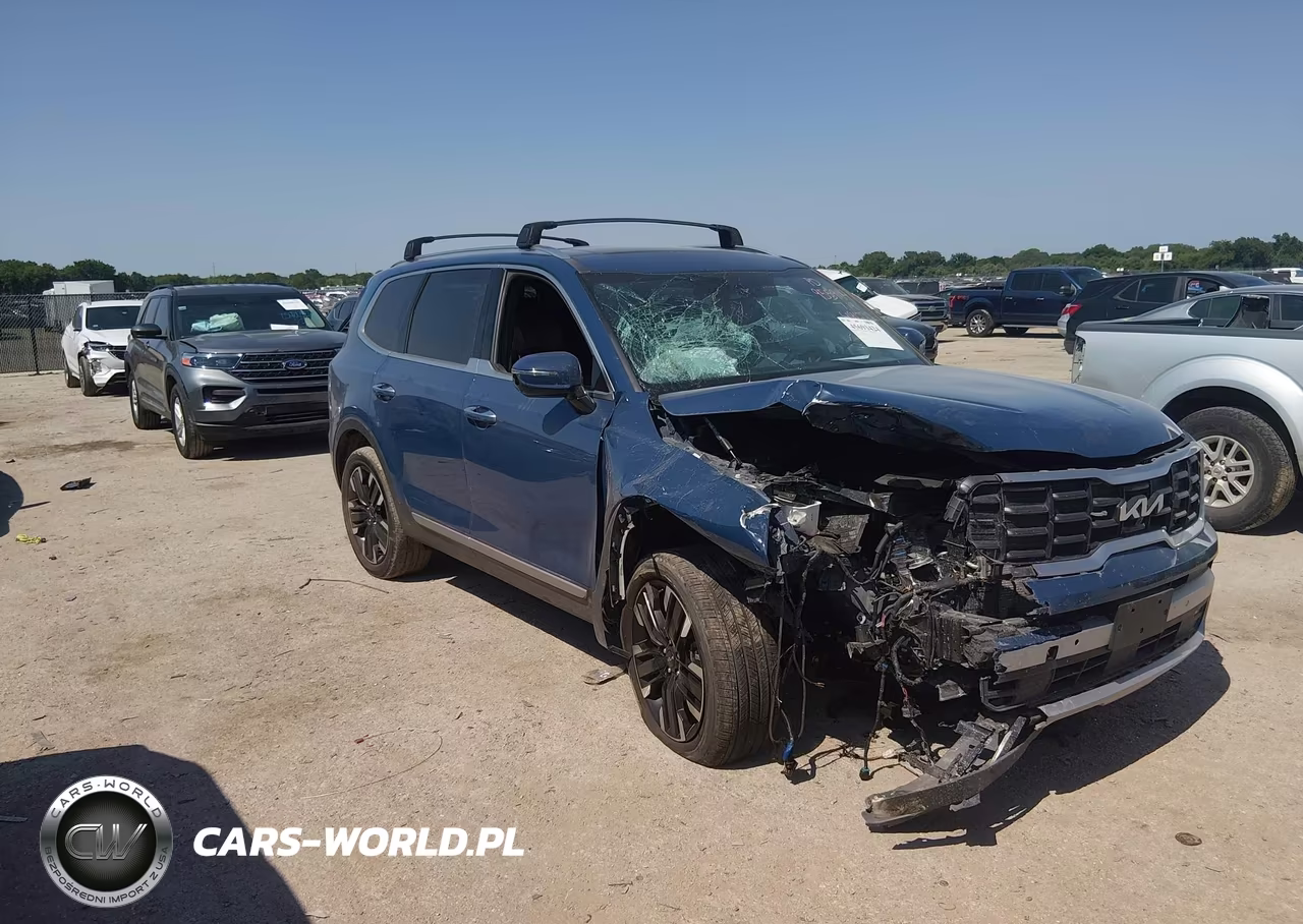 2024 Kia Telluride Sx Prestige VIN:5XYP5DGC6RG491222 - 1