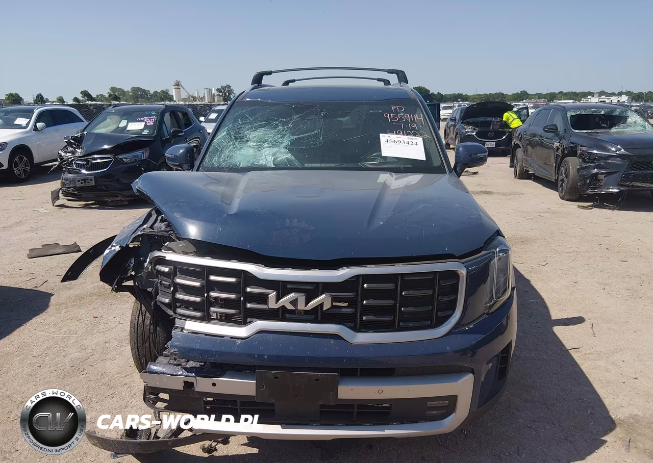 2024 Kia Telluride Sx Prestige VIN:5XYP5DGC6RG491222 - 11