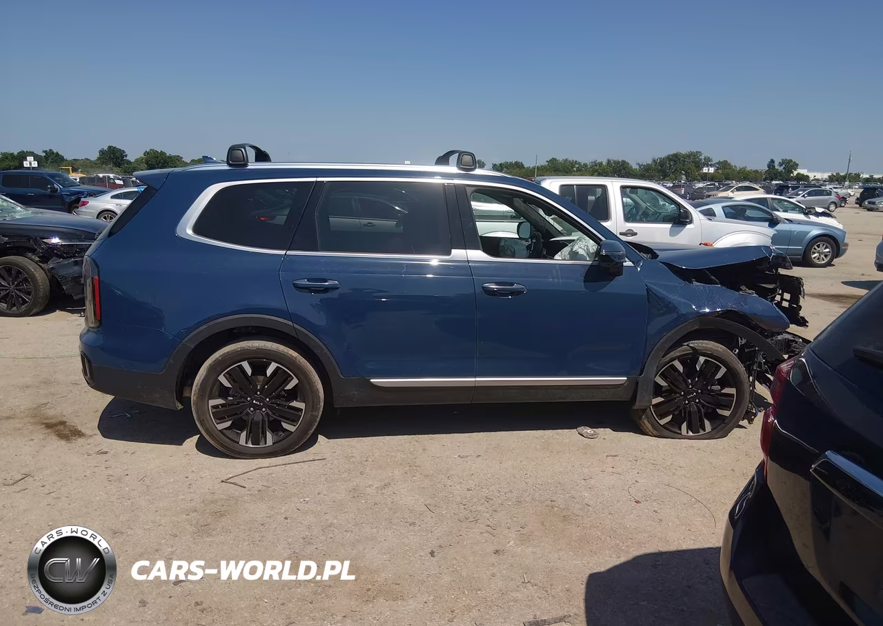 2024 Kia Telluride Sx Prestige VIN:5XYP5DGC6RG491222 - 12