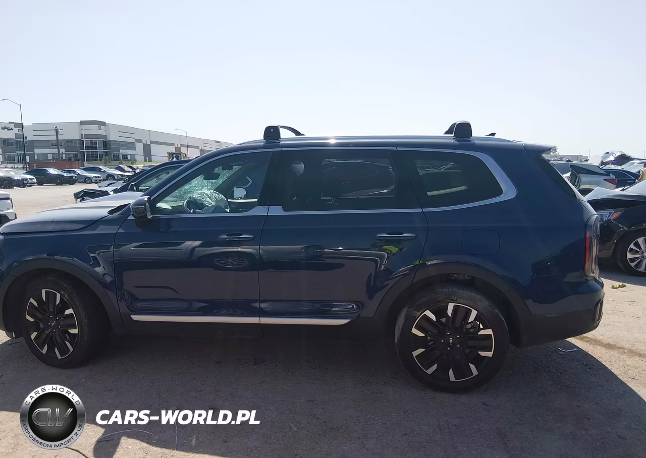 2024 Kia Telluride Sx Prestige VIN:5XYP5DGC6RG491222 - 13