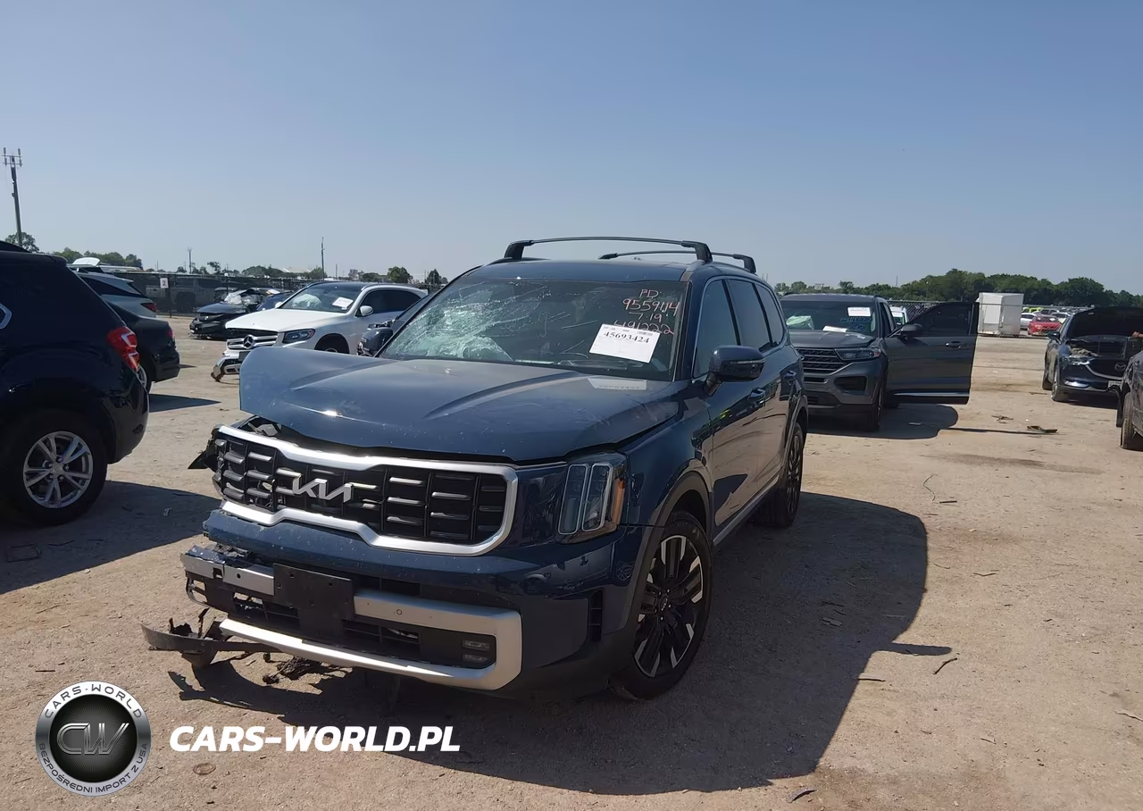 2024 Kia Telluride Sx Prestige VIN:5XYP5DGC6RG491222 - 2