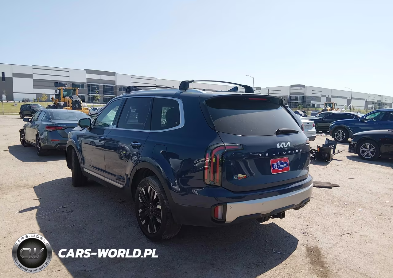 2024 Kia Telluride Sx Prestige VIN:5XYP5DGC6RG491222 - 3
