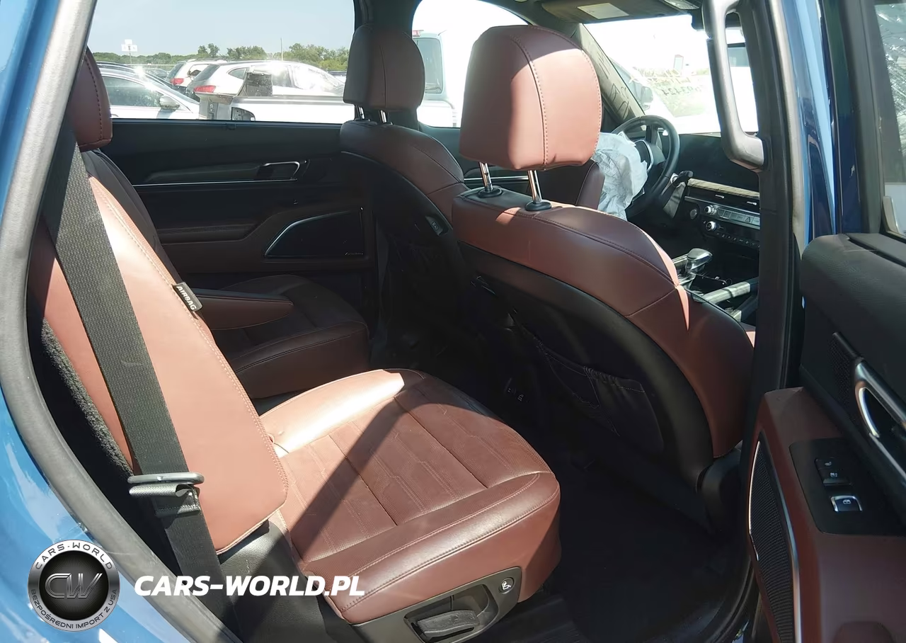2024 Kia Telluride Sx Prestige VIN:5XYP5DGC6RG491222 - 8