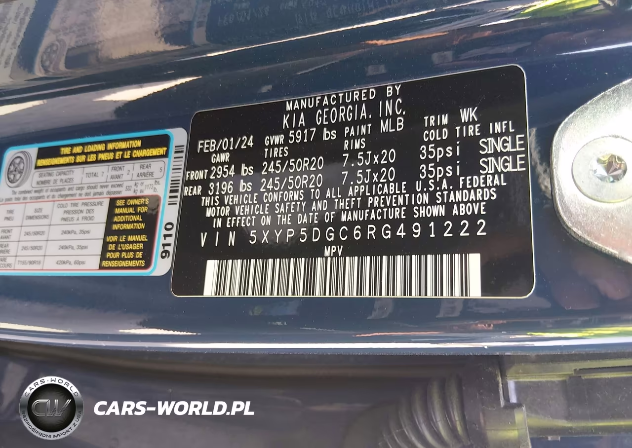 2024 Kia Telluride Sx Prestige VIN:5XYP5DGC6RG491222 - 9