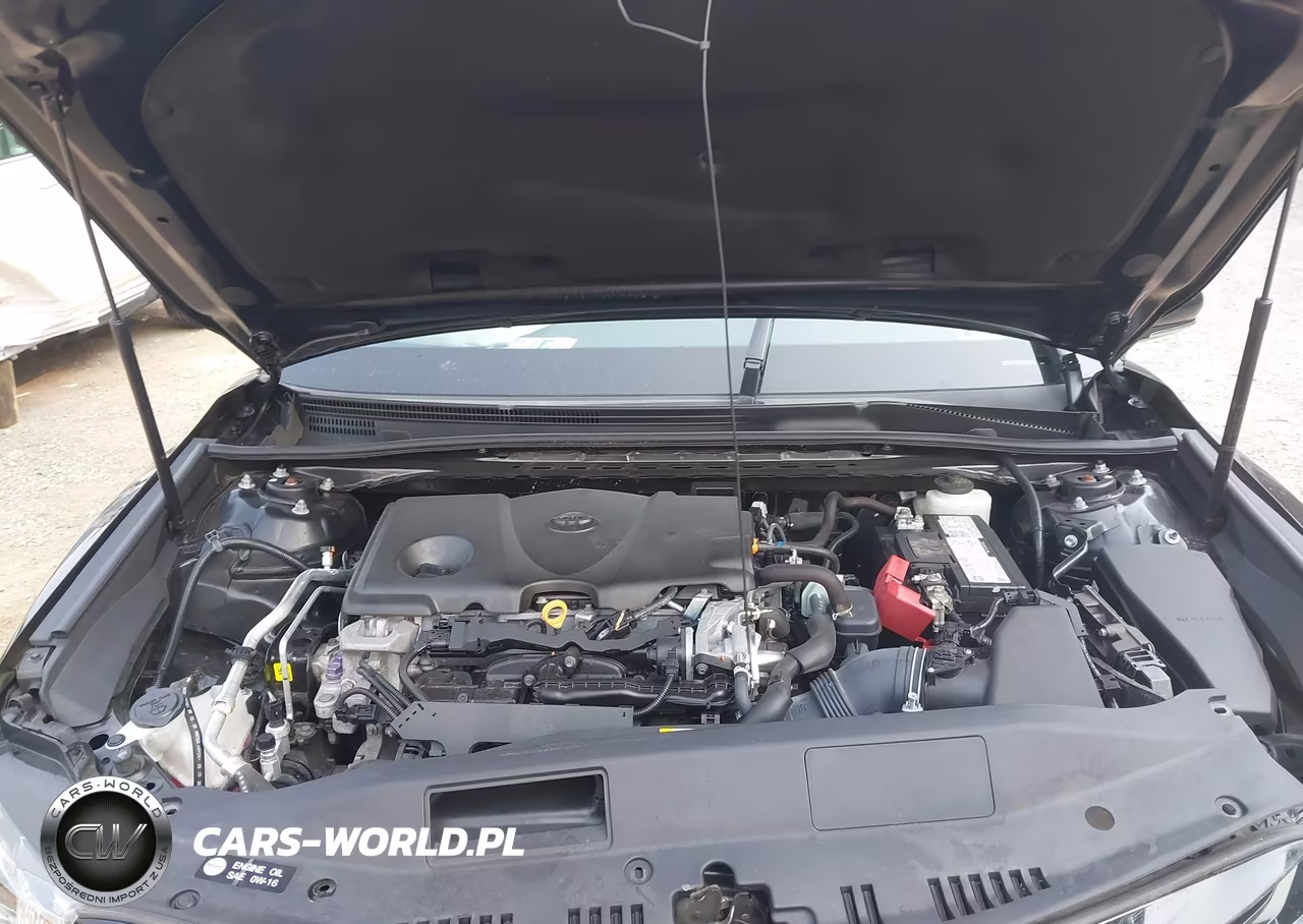 2020 Toyota Camry Le VIN:4T1C11BK3LU018094 - 10