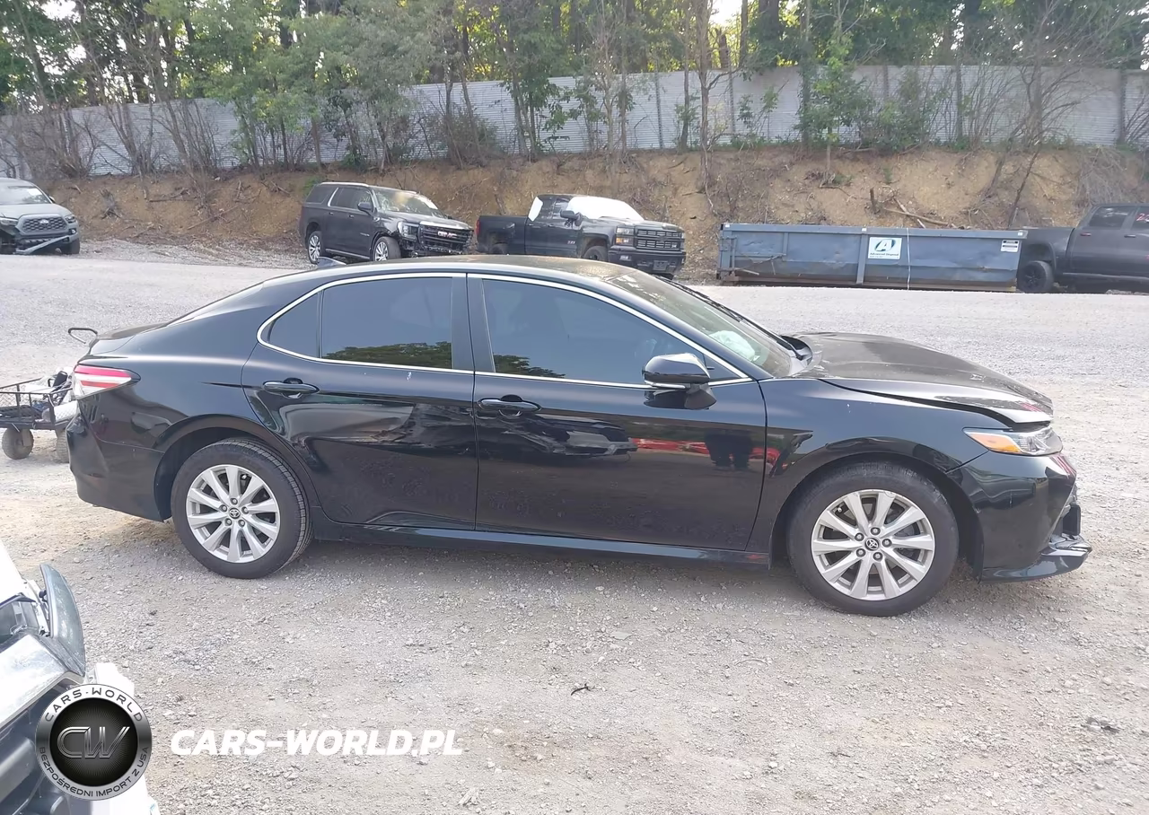 2020 Toyota Camry Le VIN:4T1C11BK3LU018094 - 12