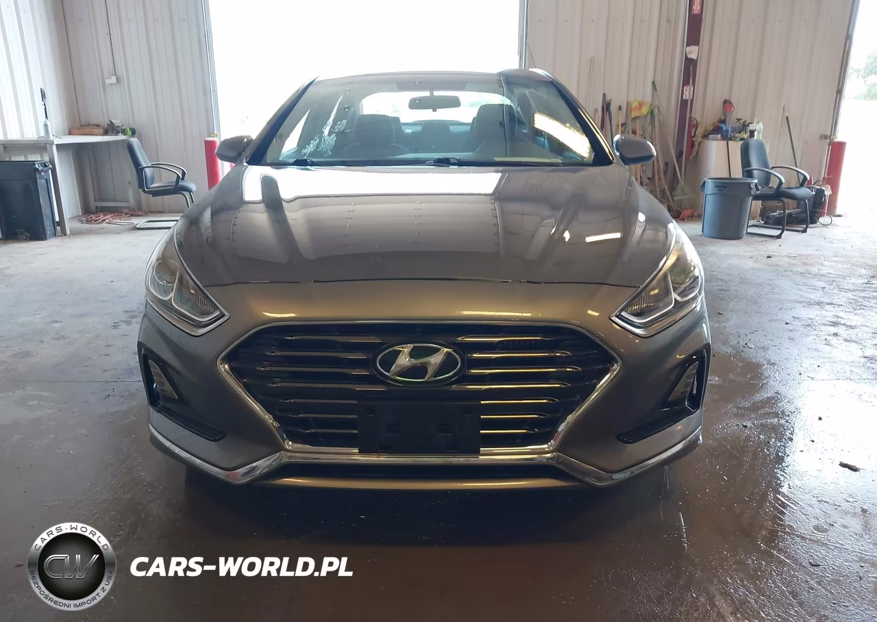 2019 Hyundai Sonata Eco VIN:5NPE24AA8KH801148 - 12