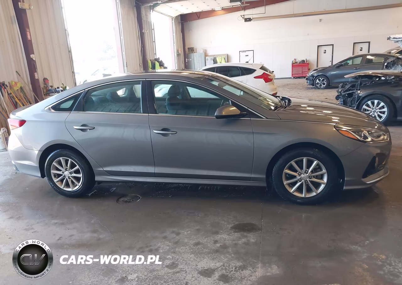 2019 Hyundai Sonata Eco VIN:5NPE24AA8KH801148 - 13