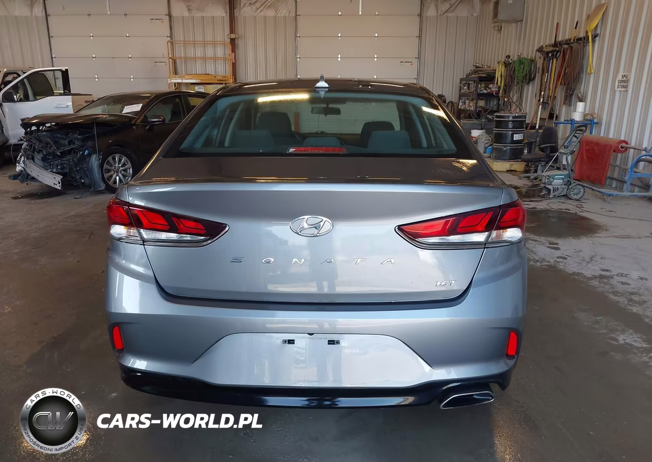 2019 Hyundai Sonata Eco VIN:5NPE24AA8KH801148 - 16