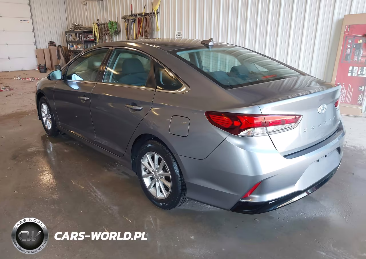 2019 Hyundai Sonata Eco VIN:5NPE24AA8KH801148 - 3