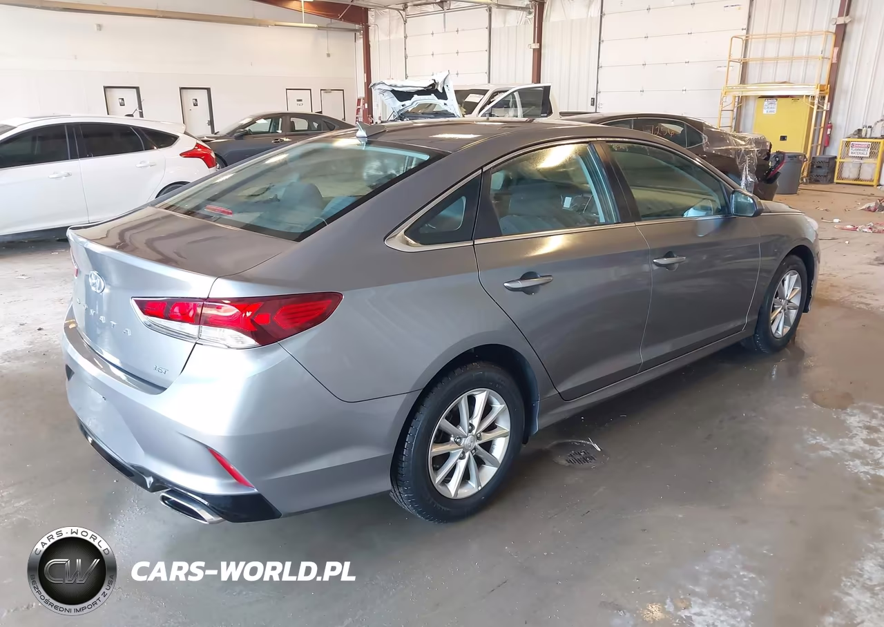 2019 Hyundai Sonata Eco VIN:5NPE24AA8KH801148 - 4