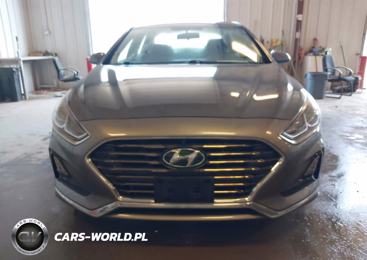 2019 Hyundai Sonata Eco VIN:5NPE24AA8KH801148 - 6