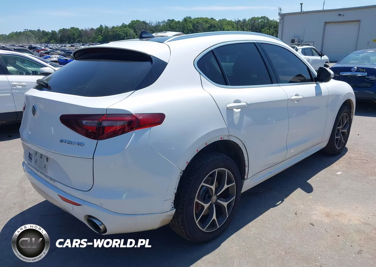 2020 Alfa Romeo Stelvio Ti Awd VIN:ZASPAKBN9L7C97806 - 4