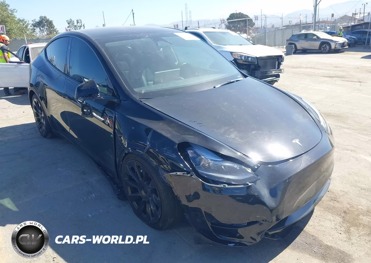 2025 Tesla Model Y Long Range Dual Motor All-Wheel Drive VIN:7SAYGDEE6SF299530 - 1