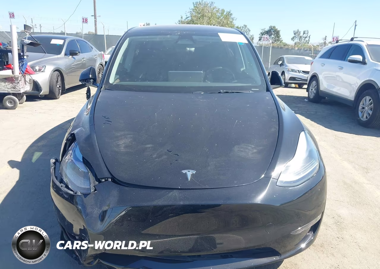 2025 Tesla Model Y Long Range Dual Motor All-Wheel Drive VIN:7SAYGDEE6SF299530 - 12