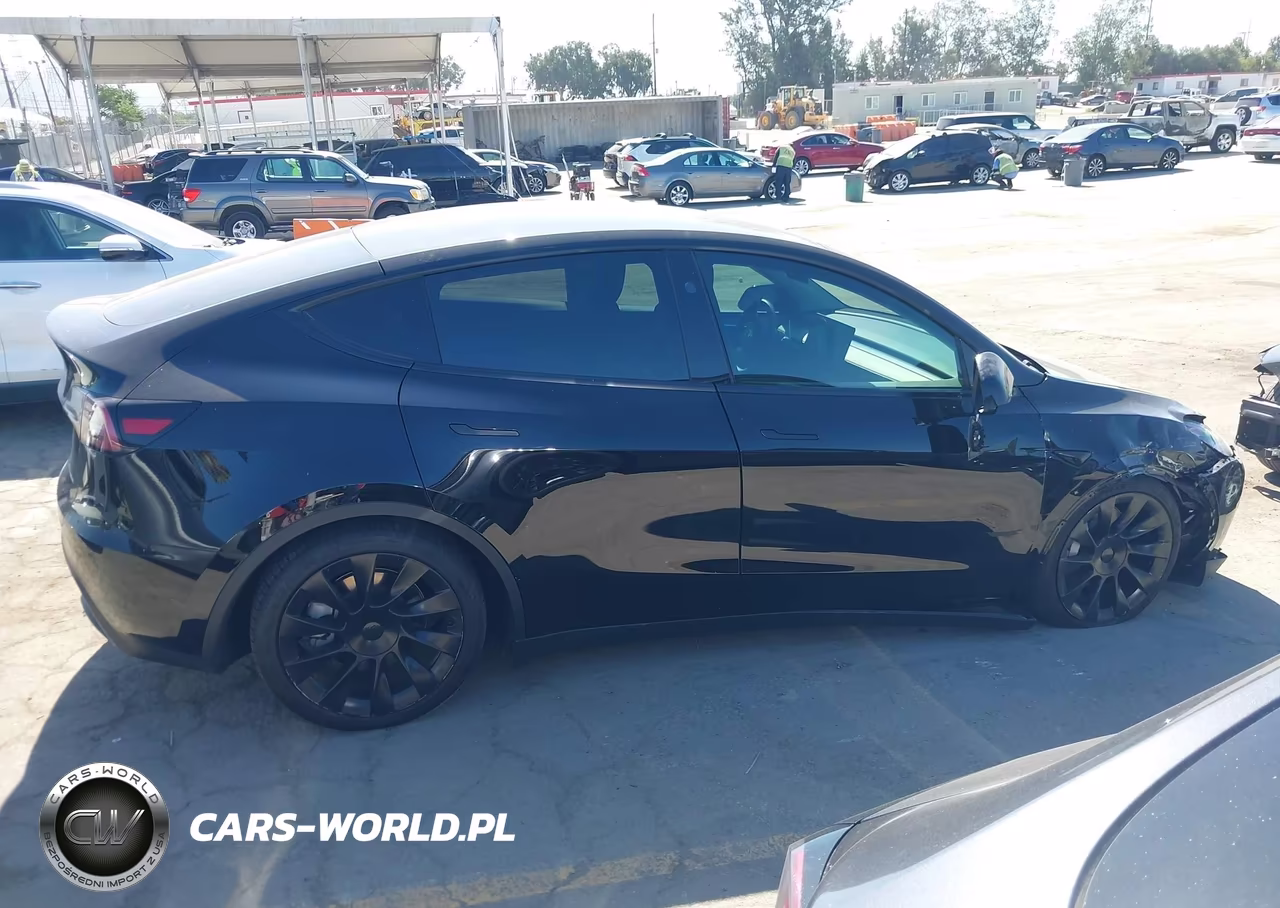 2025 Tesla Model Y Long Range Dual Motor All-Wheel Drive VIN:7SAYGDEE6SF299530 - 13