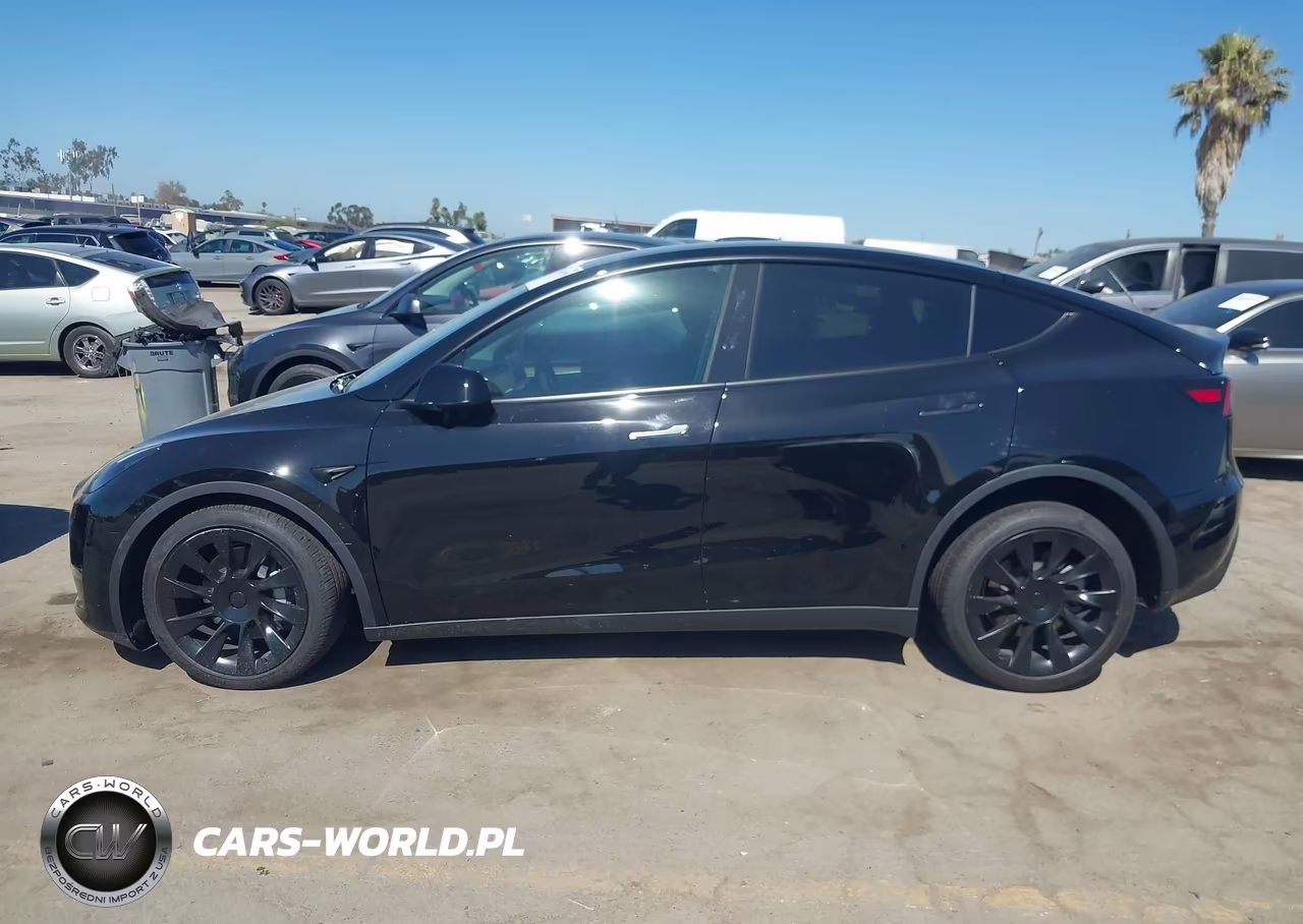 2025 Tesla Model Y Long Range Dual Motor All-Wheel Drive VIN:7SAYGDEE6SF299530 - 14