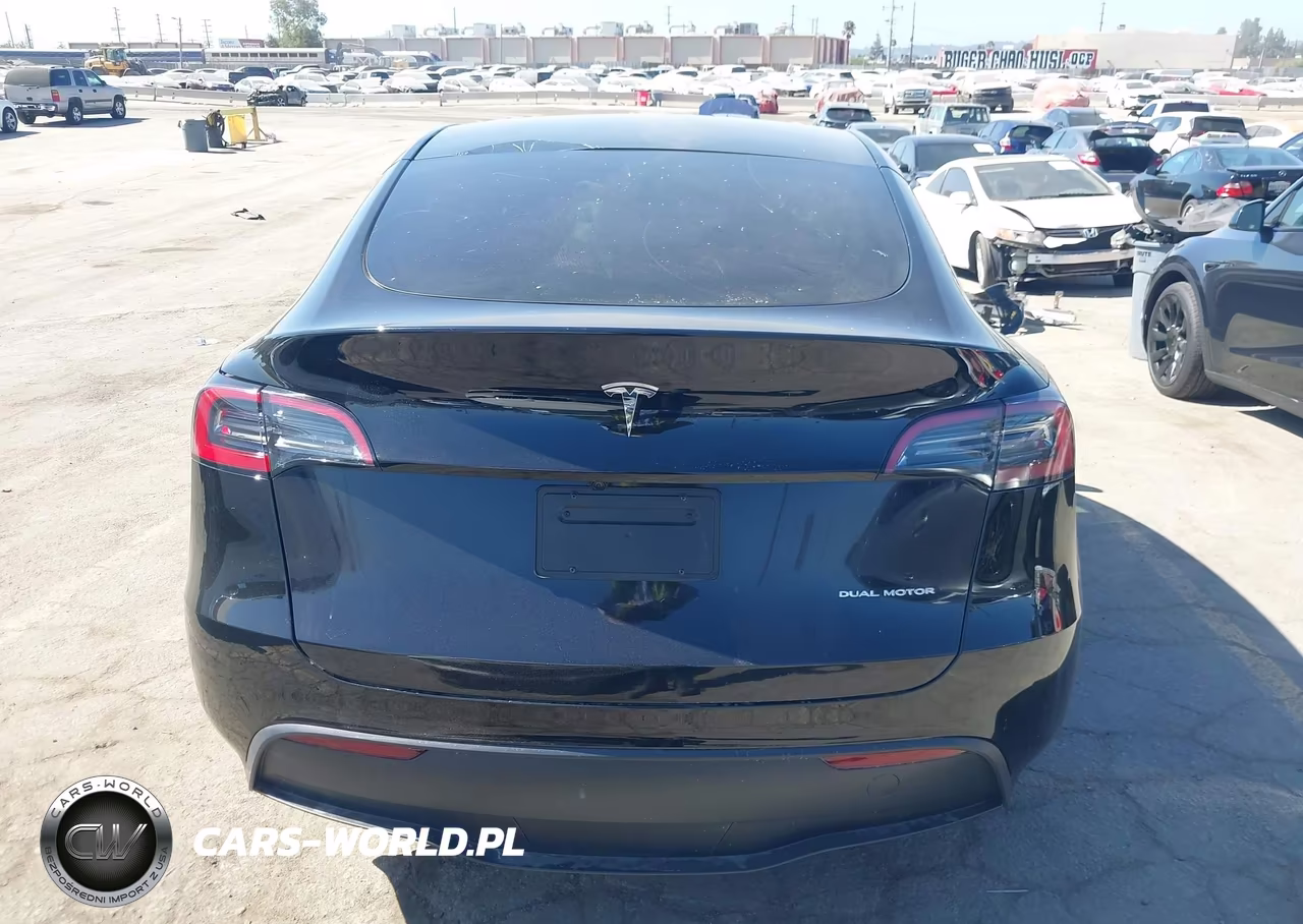 2025 Tesla Model Y Long Range Dual Motor All-Wheel Drive VIN:7SAYGDEE6SF299530 - 16