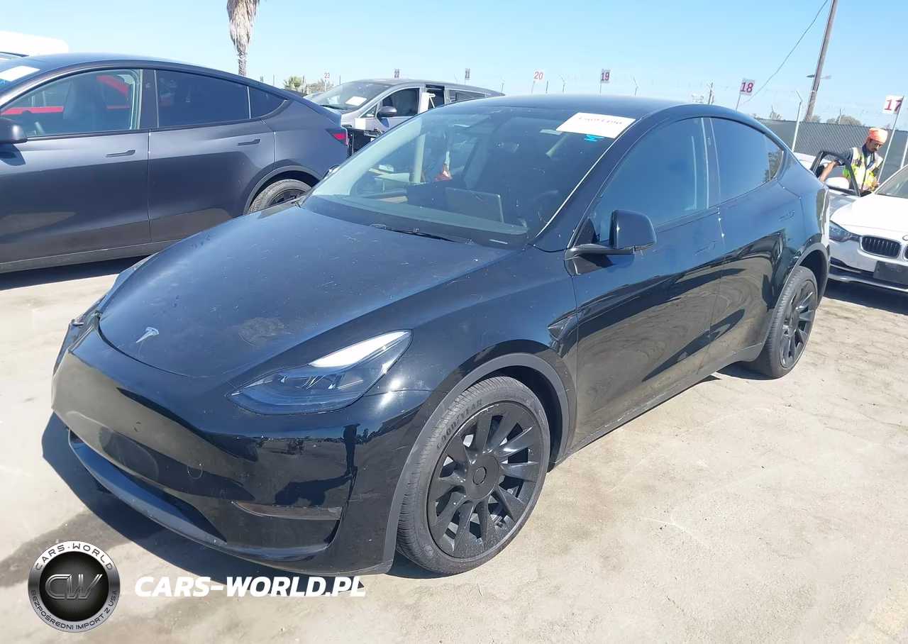 2025 Tesla Model Y Long Range Dual Motor All-Wheel Drive VIN:7SAYGDEE6SF299530 - 2