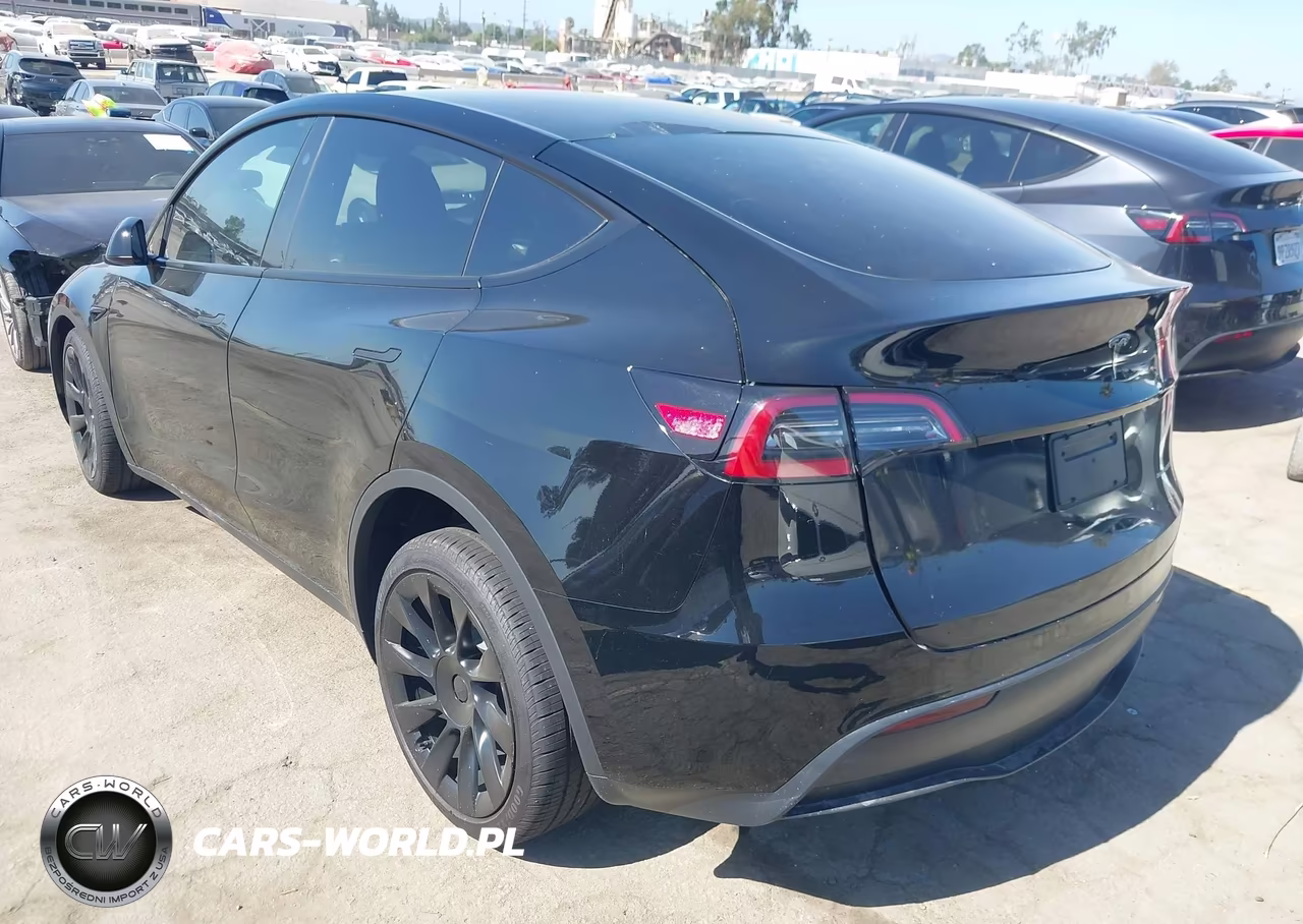 2025 Tesla Model Y Long Range Dual Motor All-Wheel Drive VIN:7SAYGDEE6SF299530 - 3